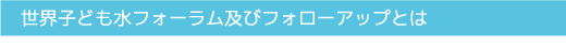 世界子ども水フォーラムおよびフォローアップとは