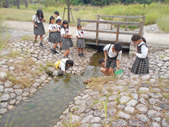 学校部門の写真