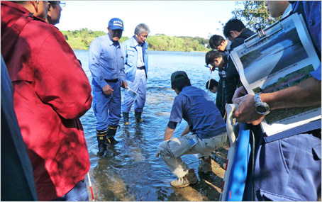 健全な河川生態系の保全・再生に関する調査・研究