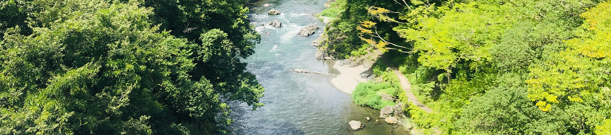 子どもの水辺