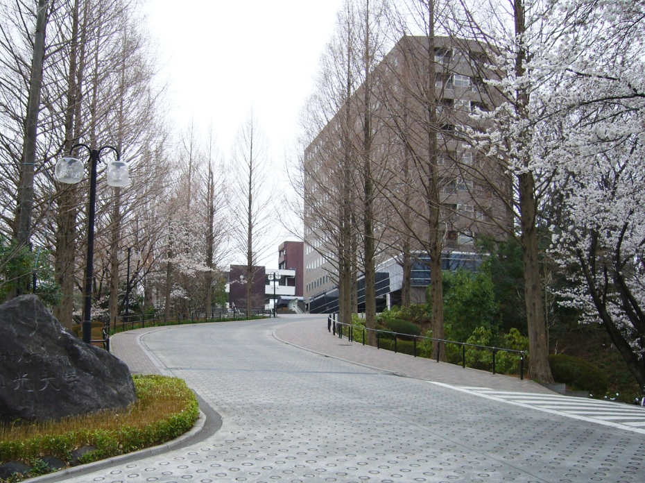 和光大学